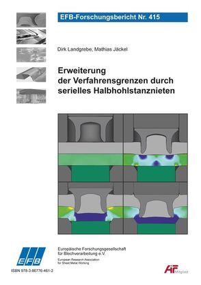 Erweiterung der Verfahrensgrenzen durch serielles Halbhohlstanznieten von Jäckel,  Mathias, Landgrebe,  Dirk