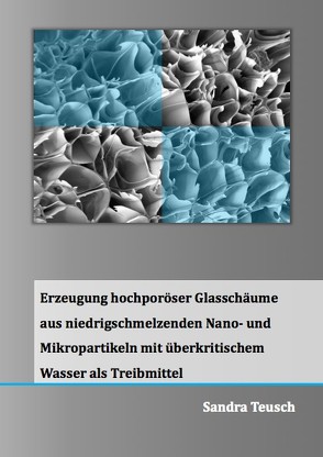 Erzeugung hochporöser Glasschäume aus niedrigschmelzenden Nano- und Mikropartikeln mit überkritischem Wasser als Treibmittel von Teusch,  Sandra