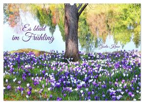 Es blüht im Frühling (Wandkalender 2024 DIN A2 quer), CALVENDO Monatskalender von Kruse,  Gisela