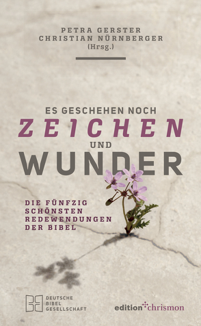 Es geschehen noch Zeichen und Wunder von Gerster,  Petra, Nürnberger,  Christian