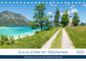 Es is so schee am Walchensee 2023 (Tischkalender 2023 DIN A5 quer) von SusaZoom