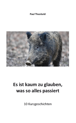 Es ist kaum zu glauben, was so alles passiert von Theobald,  Paul