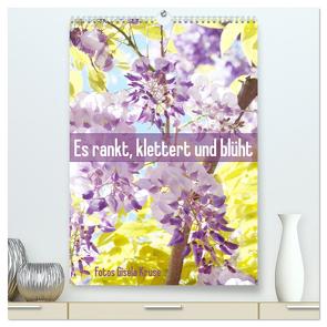 Es rankt, klettert und blüht (hochwertiger Premium Wandkalender 2024 DIN A2 hoch), Kunstdruck in Hochglanz von Kruse,  Gisela