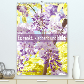 Es rankt, klettert und blüht (Premium, hochwertiger DIN A2 Wandkalender 2023, Kunstdruck in Hochglanz) von Kruse,  Gisela