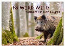 ES WIRD WILD Wildtiere von klein bis groß (Wandkalender 2024 DIN A3 quer), CALVENDO Monatskalender von Merk,  Angela