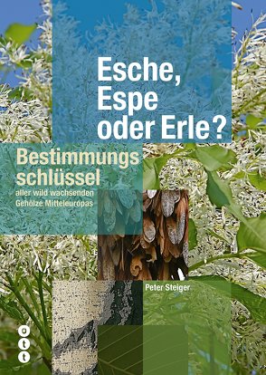 Esche, Espe oder Erle? von Steiger,  Peter