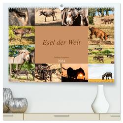 Esel der Welt – Lieblings Langohren (hochwertiger Premium Wandkalender 2024 DIN A2 quer), Kunstdruck in Hochglanz von Bölts,  Meike