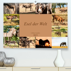 Esel der Welt – Lieblings Langohren (Premium, hochwertiger DIN A2 Wandkalender 2023, Kunstdruck in Hochglanz) von Bölts,  Meike