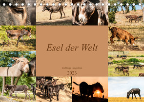 Esel der Welt – Lieblings Langohren (Tischkalender 2023 DIN A5 quer) von Bölts,  Meike