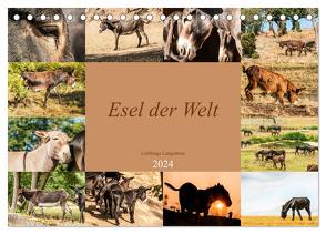 Esel der Welt – Lieblings Langohren (Tischkalender 2024 DIN A5 quer), CALVENDO Monatskalender von Bölts,  Meike