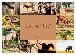 Esel der Welt – Lieblings Langohren (Wandkalender 2024 DIN A2 quer), CALVENDO Monatskalender von Bölts,  Meike