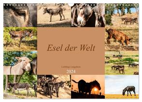 Esel der Welt – Lieblings Langohren (Wandkalender 2024 DIN A3 quer), CALVENDO Monatskalender von Bölts,  Meike