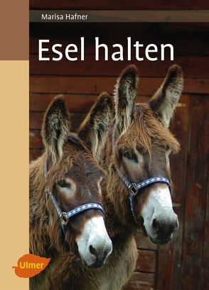 Esel halten von Hafner,  Marisa