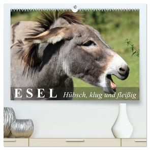 Esel – hübsch, klug und fleißig (hochwertiger Premium Wandkalender 2024 DIN A2 quer), Kunstdruck in Hochglanz von Stanzer,  Elisabeth