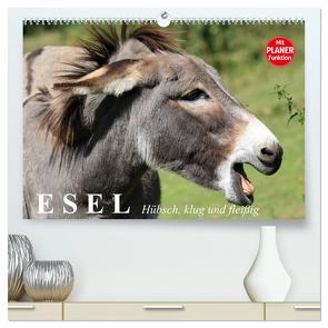 Esel. Hübsch, klug und fleißig (hochwertiger Premium Wandkalender 2024 DIN A2 quer), Kunstdruck in Hochglanz von Stanzer,  Elisabeth