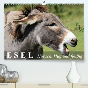 Esel – hübsch, klug und fleißig (Premium, hochwertiger DIN A2 Wandkalender 2022, Kunstdruck in Hochglanz) von Stanzer,  Elisabeth