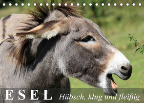 Esel – hübsch, klug und fleißig (Tischkalender 2023 DIN A5 quer) von Stanzer,  Elisabeth