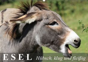 Esel – hübsch, klug und fleißig (Wandkalender 2018 DIN A2 quer) von Stanzer,  Elisabeth