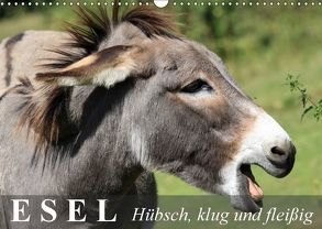 Esel – hübsch, klug und fleißig (Wandkalender 2018 DIN A3 quer) von Stanzer,  Elisabeth