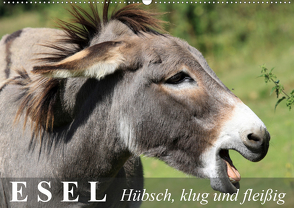 Esel – hübsch, klug und fleißig (Wandkalender 2020 DIN A2 quer) von Stanzer,  Elisabeth
