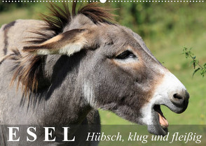 Esel – hübsch, klug und fleißig (Wandkalender 2022 DIN A2 quer) von Stanzer,  Elisabeth