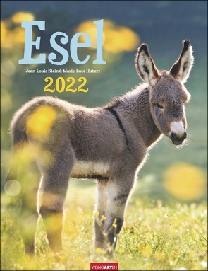 Esel Kalender 2022 von Hubert,  Marie-Luce, Klein,  Jean-Louis, Weingarten