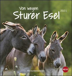 Esel Postkartenkalender – Von wegen sturer Esel Kalender 2021 von Heye