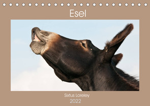 Esel – Sixtus Loreley (Tischkalender 2022 DIN A5 quer) von Bölts,  Meike