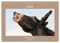 Esel – Sixtus Loreley (Tischkalender 2024 DIN A5 quer), CALVENDO Monatskalender von Bölts,  Meike
