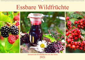 Essbare Wildfrüchte. Aromatische Köstlichkeiten aus der Natur (Wandkalender 2021 DIN A2 quer) von Hurley,  Rose