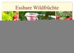 Essbare Wildfrüchte. Aromatische Köstlichkeiten aus der Natur (Wandkalender 2024 DIN A2 quer), CALVENDO Monatskalender von Hurley,  Rose