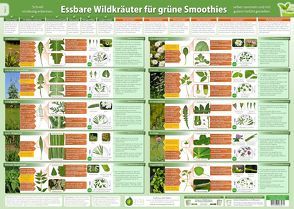 Essbare Wildkräuter für Grüne Smoothies Teil 1 – Wandposter (DINA2) – (2023) von Cremer,  Samuel, www.futurepacemedia.de, Zenz (Der Seelengärtner),  Alfred