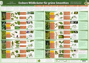 Essbare Wildkräuter für Grüne Smoothies Teil 2- Wandposter (DINA2) – (2023) von Cremer,  Samuel, www.futurepacemedia.de, Zenz (Der Seelengärtner),  Alfred