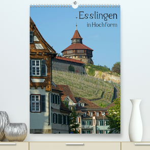 Esslingen in Hochform (Premium, hochwertiger DIN A2 Wandkalender 2021, Kunstdruck in Hochglanz) von Weber,  Philipp