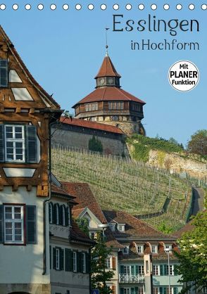 Esslingen in Hochform (Tischkalender 2019 DIN A5 hoch) von Weber,  Philipp