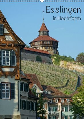 Esslingen in Hochform (Wandkalender 2018 DIN A2 hoch) von Weber,  Philipp