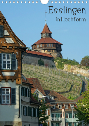 Esslingen in Hochform (Wandkalender 2020 DIN A4 hoch) von Weber,  Philipp