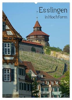 Esslingen in Hochform (Wandkalender 2024 DIN A2 hoch), CALVENDO Monatskalender von Weber,  Philipp