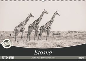 Etosha – Namibias Tierwelt in SW (Wandkalender 2019 DIN A2 quer) von Kohlem,  Arno