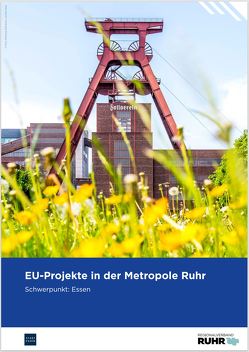 EU-Projekte in der Metropole Ruhr von Dübbert,  Christine, Kleinowski,  Karina, Zamorowski,  Ilka