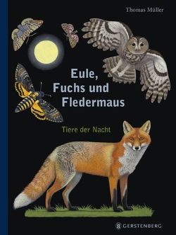 Eule, Fuchs und Fledermaus von Mueller,  Thomas