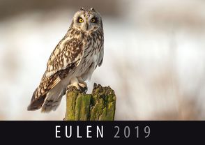 Eulen 2019 von Quelle & Meyer Verlag