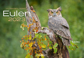 Eulen 2023 von Hubert,  M.-L., Klein,  J. L.