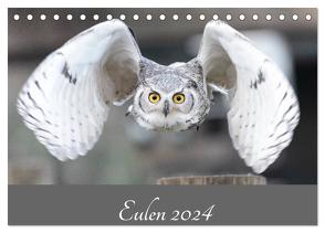 Eulen 2024 (Tischkalender 2024 DIN A5 quer), CALVENDO Monatskalender von Trimbach,  Jürgen