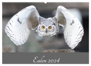 Eulen 2024 (Wandkalender 2024 DIN A2 quer), CALVENDO Monatskalender von Trimbach,  Jürgen