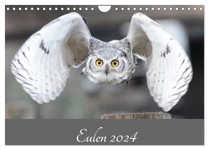 Eulen 2024 (Wandkalender 2024 DIN A4 quer), CALVENDO Monatskalender von Trimbach,  Jürgen