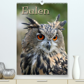 Eulen / CH-Version (Premium, hochwertiger DIN A2 Wandkalender 2023, Kunstdruck in Hochglanz) von / Martina Berg + Antje Lindert-Rottke,  Pferdografen.de