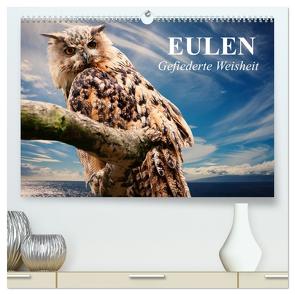 Eulen. Gefiederte Weisheit (hochwertiger Premium Wandkalender 2024 DIN A2 quer), Kunstdruck in Hochglanz von Stanzer,  Elisabeth