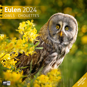 Eulen Kalender 2024 – 30×30