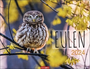 Eulen Kalender 2024